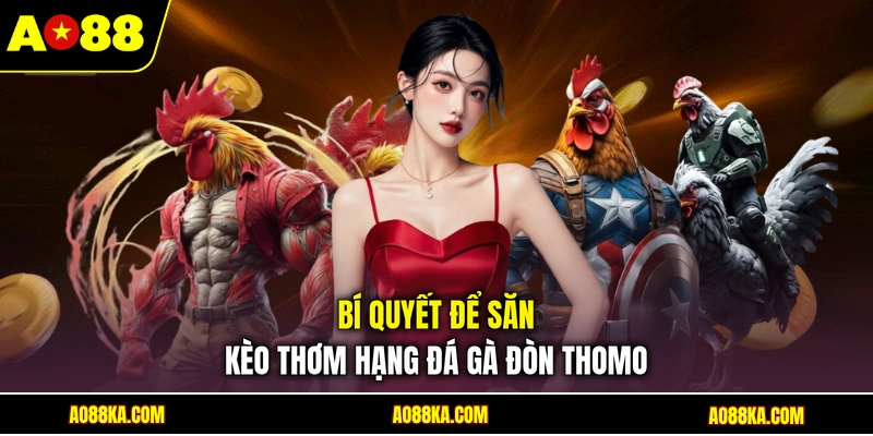 Đá Gà Đòn Thomo AO88 - Luật Chơi Và Kinh Nghiệm Cược 4 Bí quyết để săn kèo thơm hạng đá gà đòn thomo