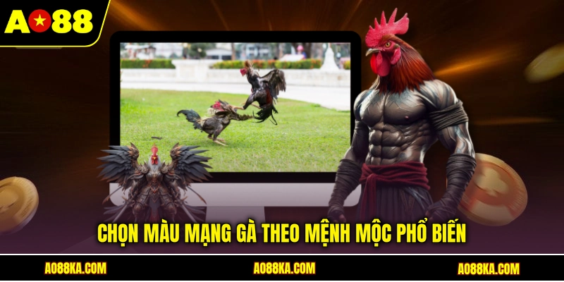 Màu Mạng Gà Đá - AO88 Chia Sẻ Bí Quyết Chọn Chiến Kê 3 Chọn màu mạng gà theo mệnh mộc phổ biến