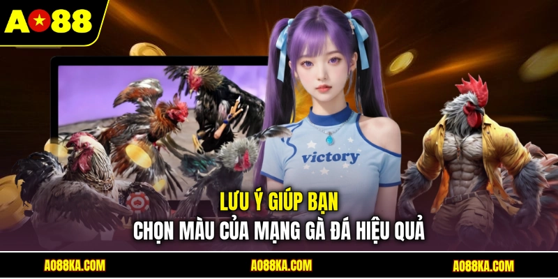 Màu Mạng Gà Đá - AO88 Chia Sẻ Bí Quyết Chọn Chiến Kê 4 Lưu ý giúp bạn chọn màu của mạng gà đá hiệu quả