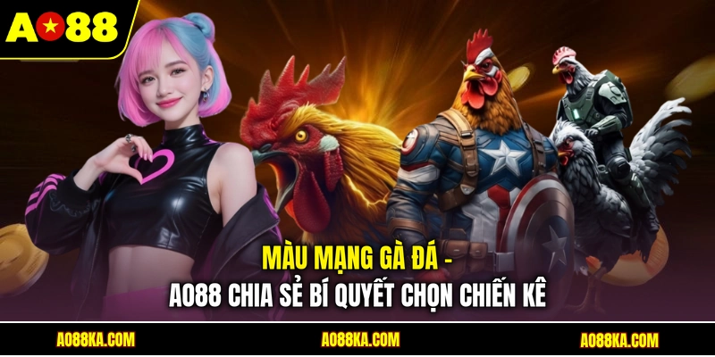 Màu Mạng Gà Đá - AO88 Chia Sẻ Bí Quyết Chọn Chiến Kê 1 Màu Mạng Gà Đá - AO88 Chia Sẻ Bí Quyết Chọn Chiến Kê